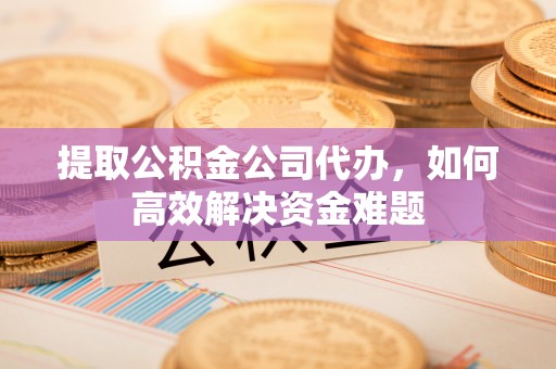 突泉提取公积金公司代办，如何高效解决资金难题