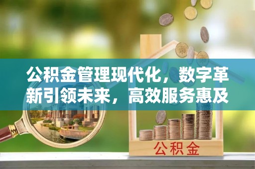 突泉公积金管理现代化，数字革新引领未来，高效服务惠及民生