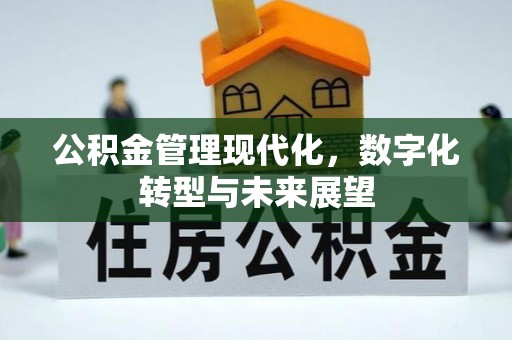 突泉公积金管理现代化，数字化转型与未来展望
