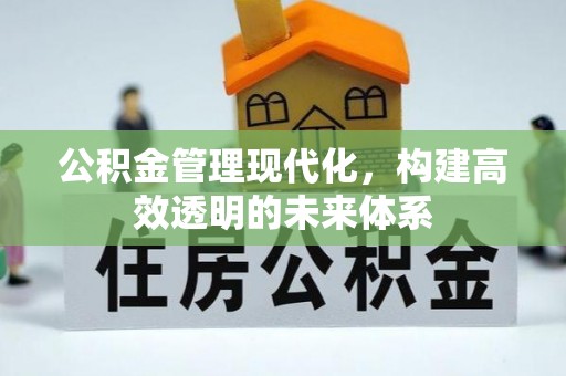 突泉公积金管理现代化，构建高效透明的未来体系