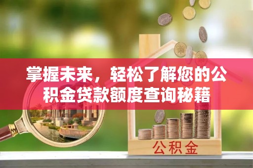 突泉掌握未来，轻松了解您的公积金贷款额度查询秘籍
