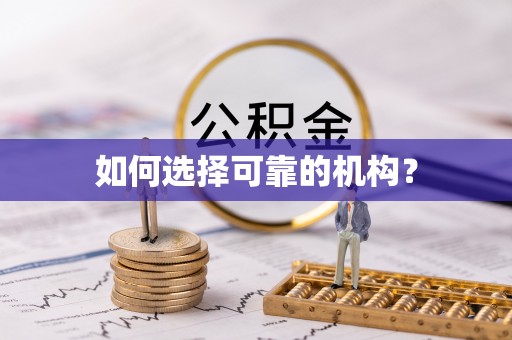 突泉如何选择可靠的机构？