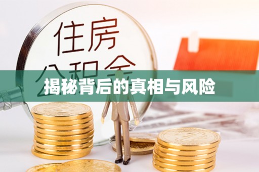 突泉揭秘背后的真相与风险