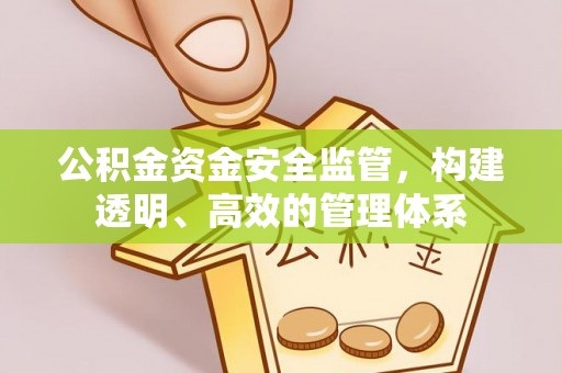 突泉公积金资金安全监管，构建透明、高效的管理体系