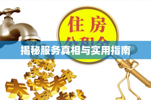 突泉揭秘服务真相与实用指南