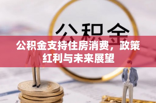 突泉公积金支持住房消费，政策红利与未来展望