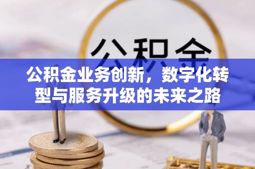 突泉公积金业务创新，数字化转型与服务升级的未来之路