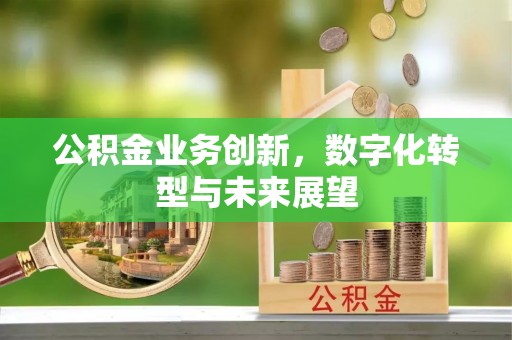 突泉公积金业务创新，数字化转型与未来展望