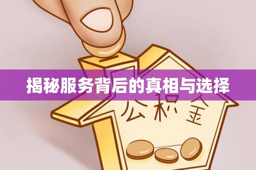 突泉揭秘服务背后的真相与选择