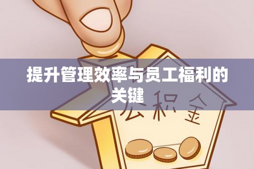 突泉提升管理效率与员工福利的关键