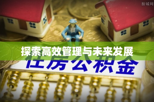 突泉探索高效管理与未来发展