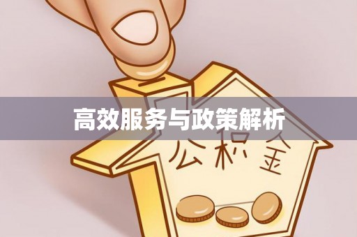 突泉高效服务与政策解析