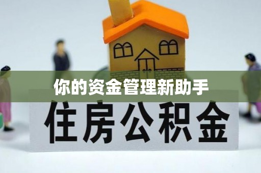突泉你的资金管理新助手
