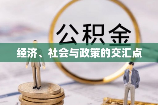 突泉经济、社会与政策的交汇点