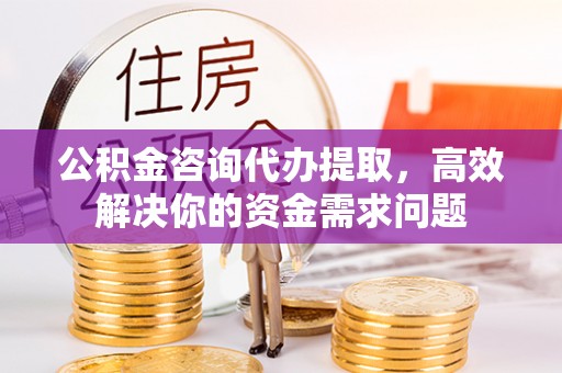 突泉公积金咨询代办提取，高效解决你的资金需求问题