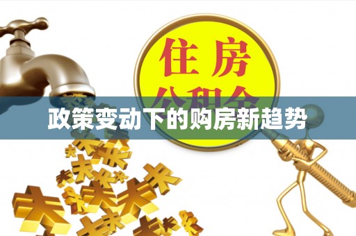 突泉政策变动下的购房新趋势
