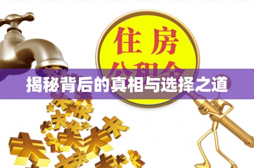 突泉揭秘背后的真相与选择之道
