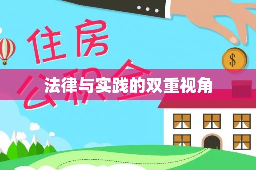 突泉法律与实践的双重视角