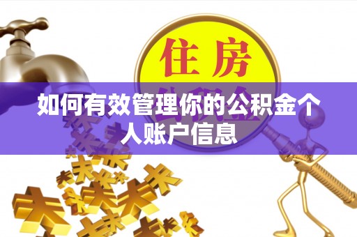 突泉如何有效管理你的公积金个人账户信息