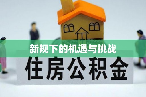 突泉新规下的机遇与挑战