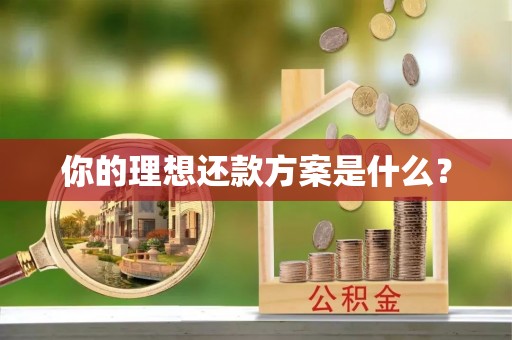 突泉你的理想还款方案是什么？