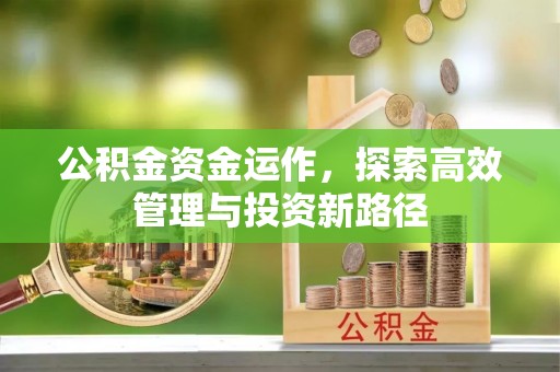 突泉公积金资金运作，探索高效管理与投资新路径