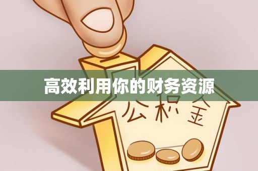 突泉高效利用你的财务资源