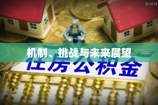 突泉机制、挑战与未来展望